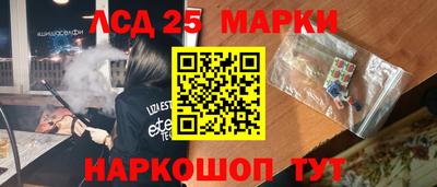 СК Кингисепп