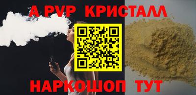 СК Кингисепп
