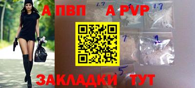СК Кингисепп