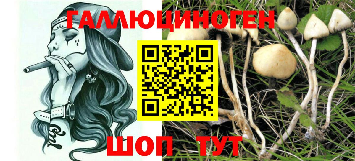 Усть-Илимск  купить  сайты  Вход с VPN  Псилоцибиновые грибы Cubensis 
